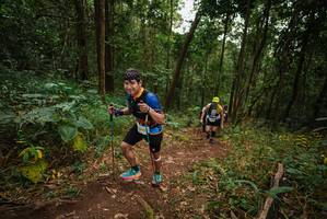 BIB: 
                            <button type="button" onclick="openModal(22554498)" class="btn btn-primary btn-sm float-right btn-popup" data-toggle="modal" data-target=".modal-high-quality">
                        <i class="fas fa-shopping-cart"></i> Add to Cart
                    </button>
                                            <button type="button" onclick="isThisMe(22554498, true)" class="btn btn-success btn-sm float-right btn-popup btn-isme hidden" data-toggle="tooltip" data-placement="bottom" title="นี่คือรูปของคุณใช่ไหม คลิกที่นี่เพื่อเอาเข้าอัลบั้ม">
                        <i class="fas fa-plus"></i> Add to album
                    </button>
                    <button type="button" onclick="isThisMe(22554498, false)" class="btn btn-warning btn-sm float-right btn-popup btn-isnotme hidden">
                        <i class="fas fa-ban"></i> Remove from album
                    </button>